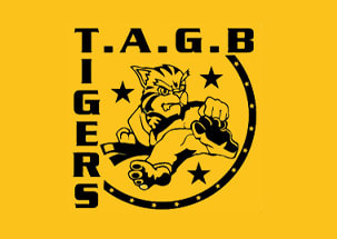 Tae Kwon Do Classes: ​T.A.G.B Tigers
